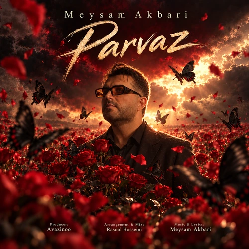 Parvaz - Meysam Akbari
